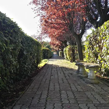 Green Montiglio